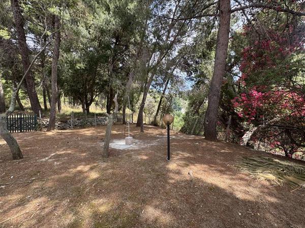 Villa CRIO - foto 57216.jpg