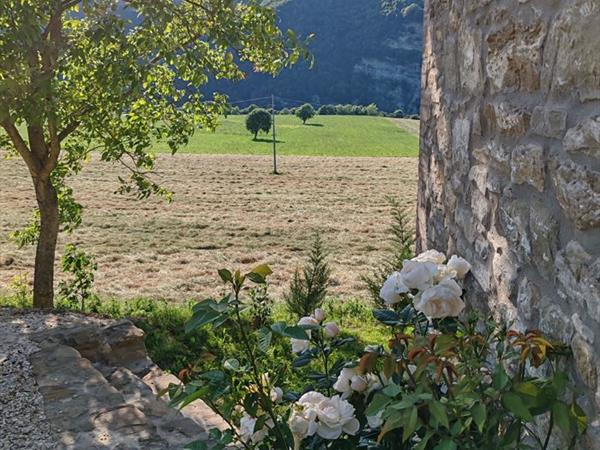 Azienda Agrituristica Le Fontanelle - foto 57230.jpg
