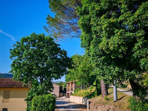 Azienda Agrituristica Le Fontanelle - foto 57233.jpg