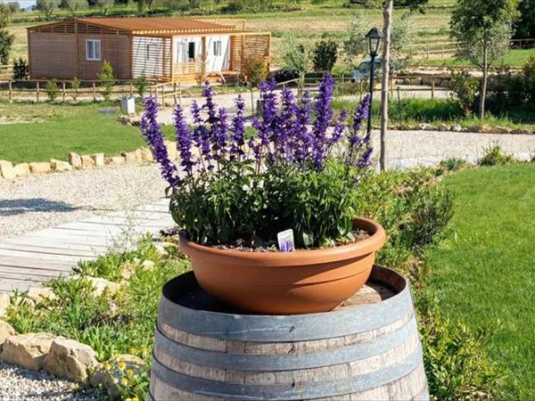VioVillas Glamping Arezzo - foto 57260.jpg