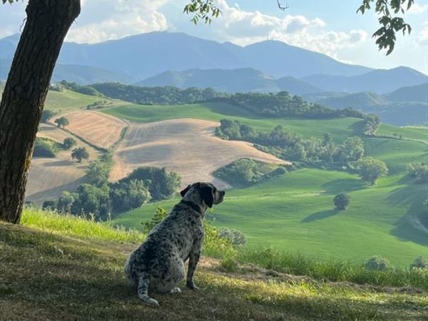 Agriturismo Il Fienile di C� Battista - foto 57324.jpg
