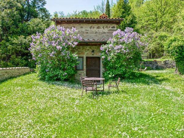 Fattoria il Praticino - foto 57367.jpg