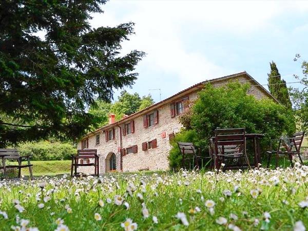 Fattoria il Praticino - foto 57371.jpg