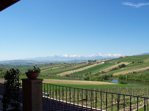 Gioie di Fattoria - Podere San Biagio - foto 2241.jpg