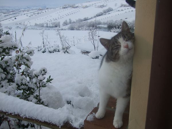 Gioie di Fattoria - Podere San Biagio - foto 2242.jpg