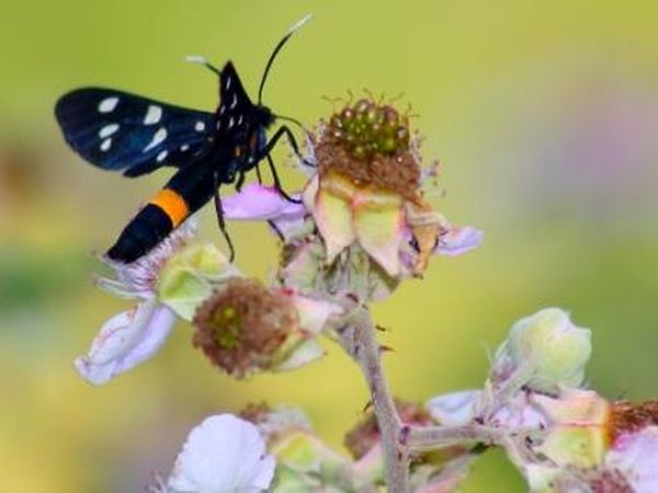 Campeggio Le Jardin Du Bon Dieu - foto 978.jpg