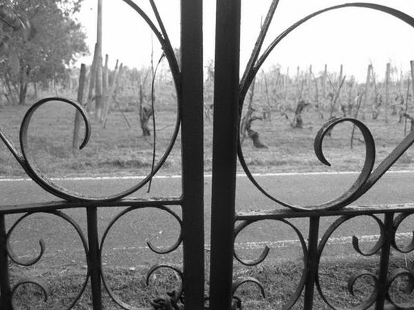 La Casarossa - foto 1091.jpg