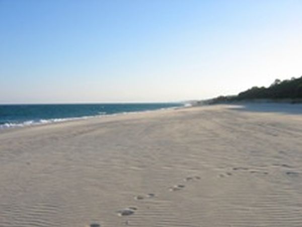 Camping Mare Azzurro - foto 1111.jpg