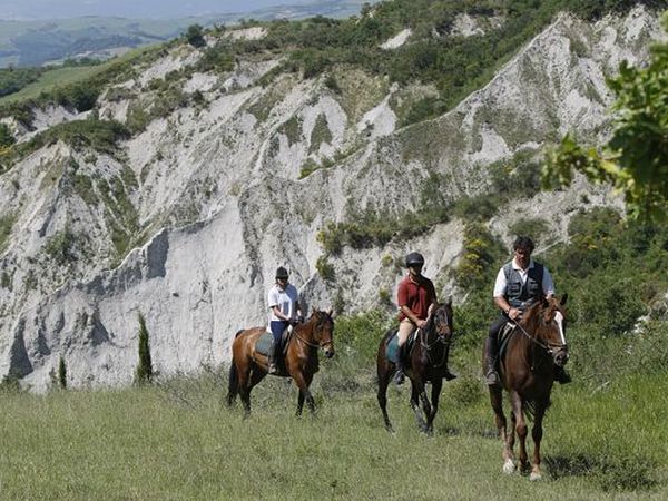 Agriturismo il Poggio - foto 5845.jpg
