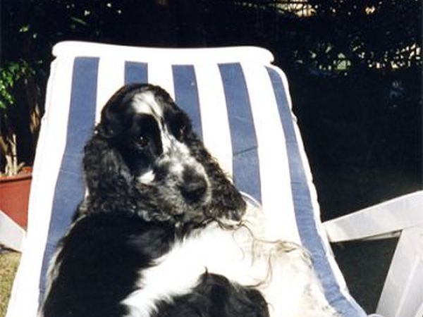 Podere Campalto - foto 6825.jpg