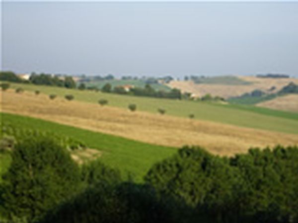 La Quercia del Saggio - foto 6904.jpg