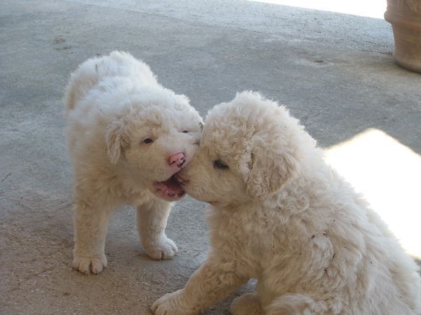 Agriturismo Del Quondam  - foto 7080.jpg