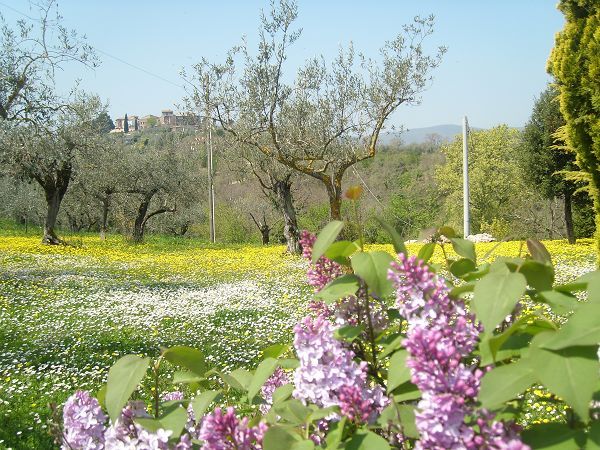 Agriturismo Del Quondam  - foto 7083.jpg