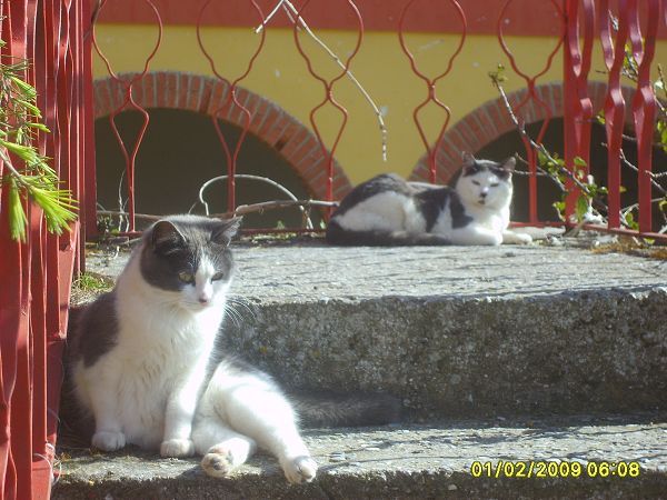 Agriturismo Su Bistentu - foto 7571.jpg