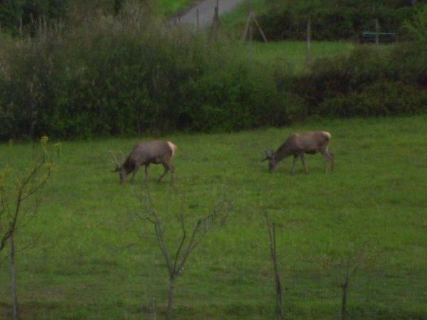 Casa le Bandite  - foto 7576.jpg