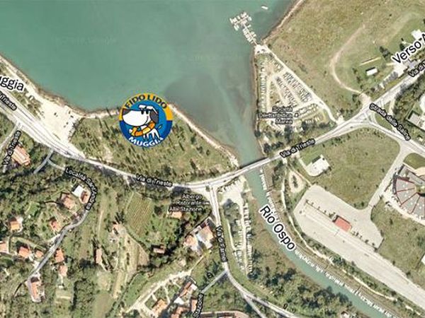 Fido Lido - foto 7653.jpg