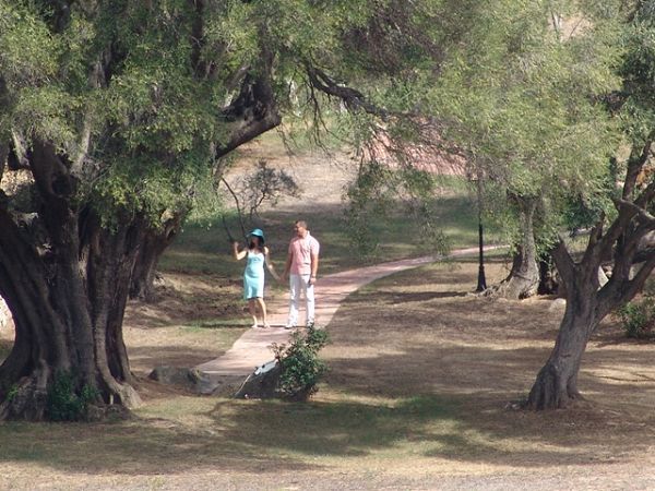 Hotel Parco degli Ulivi - foto 1325.jpg