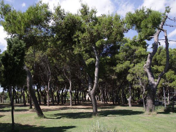 Centro Turistico Belvedere - foto 7776.jpg