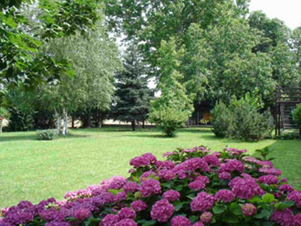 Hotel Il carrettino - foto 7802.jpg