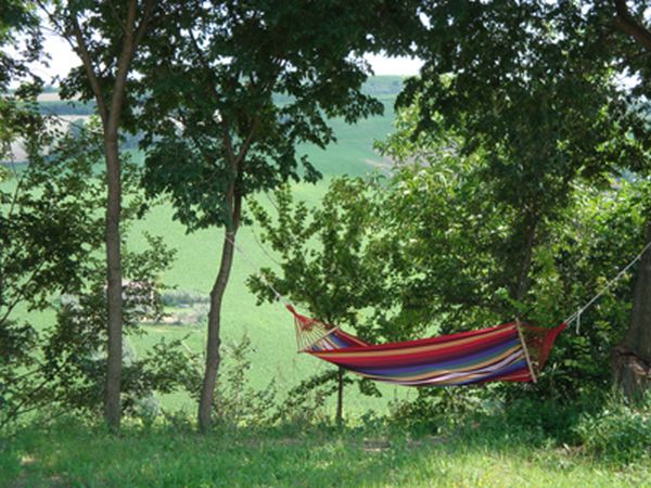 Agriturismo Camping Lavanda Blu - foto 1408.jpg