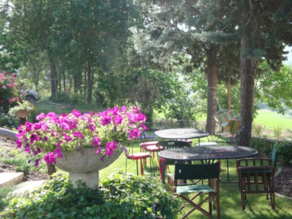 Agriturismo Camping Lavanda Blu - foto 1410.jpg