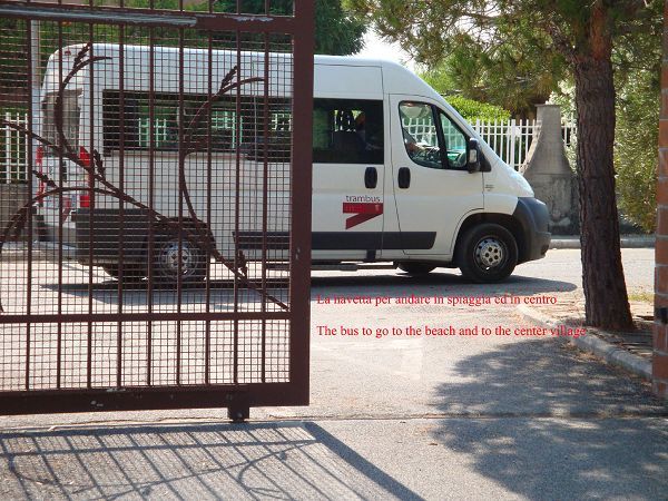 Condominio Residenza Solferino - Dog Beach Gratuita - foto 8090.jpg