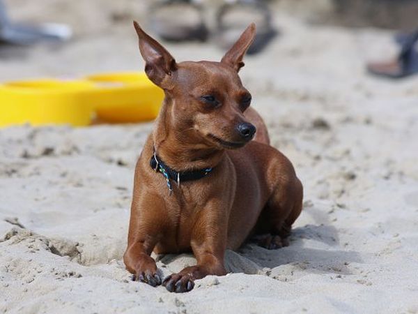 Spiaggia Beach 33 - foto 8109.jpg