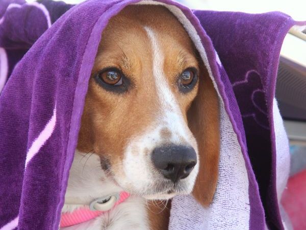 Spiaggia Beach 33 - foto 8110.jpg