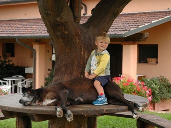 Agriturismo Poggio Corbello - foto 8121.jpg