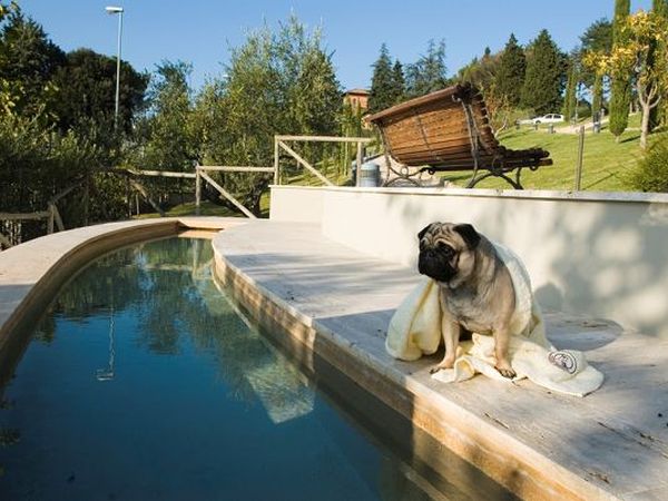 Fonteverde Natural Spa Resort - foto 1434.jpg