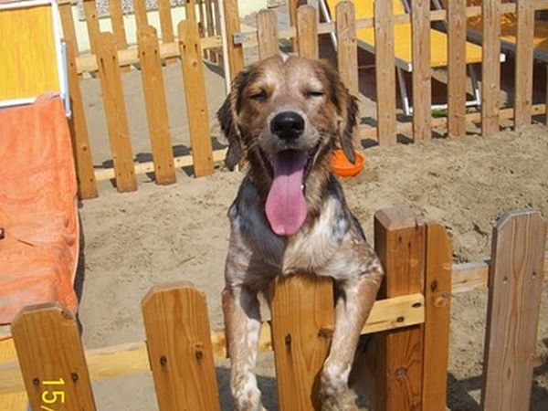 Hotel Virginia - foto 8174.jpg