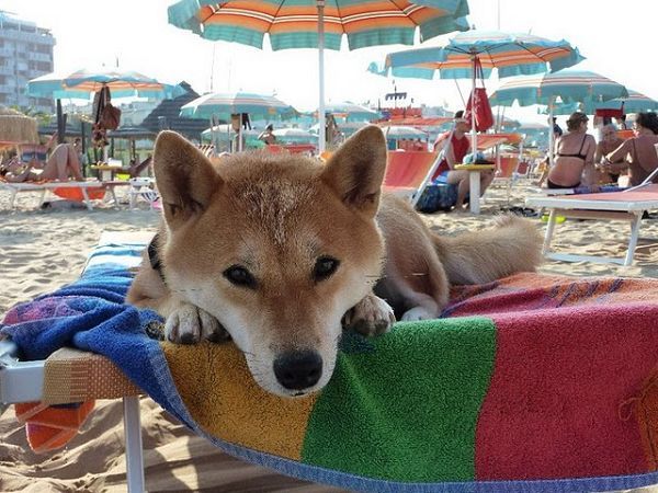 Hotel Virginia - foto 8175.jpg