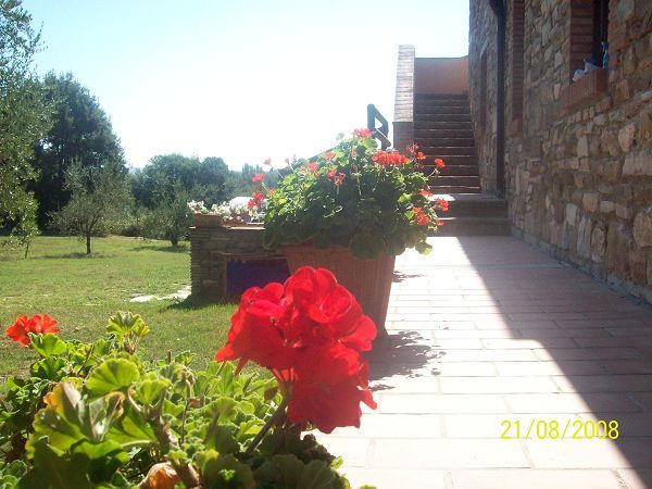 Podere  Lo Stollo - foto 2589.jpg