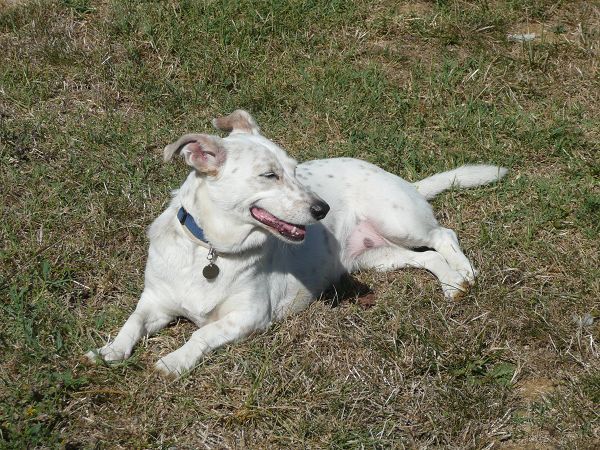 Agriturismo Il Corniolo - foto 8226.jpg