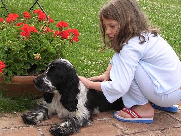 Agriturismo Il Corniolo - foto 8230.jpg