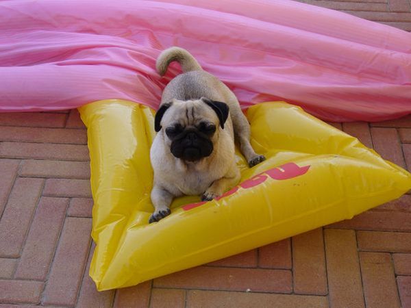 Bagni Malib - foto 8270.jpg