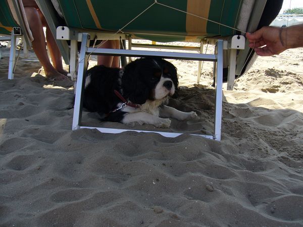 Bagni Malib - foto 8271.jpg