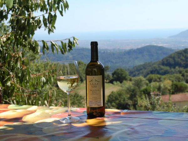 Agriturismo Ca� del Moreto - foto 8484.jpg