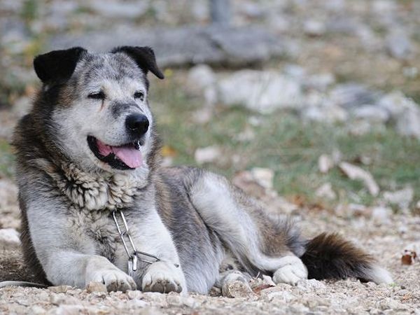 Campeggio Lo Schioppo  - foto 8565.jpg