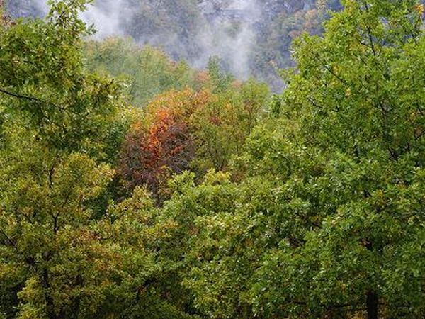 Campeggio Lo Schioppo  - foto 8568.jpg