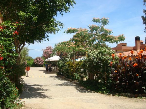 Villaggio Camping Torre Salinas - foto 8602.jpg