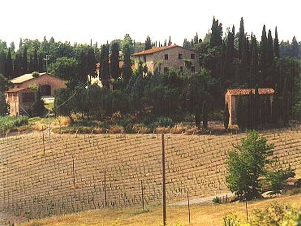 Agriturismo Poggio Muleti - foto 8764.jpg