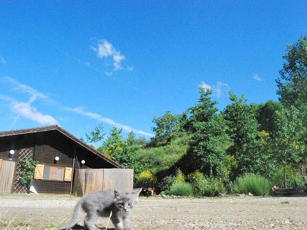 Camping Falterona - foto 8901.jpg