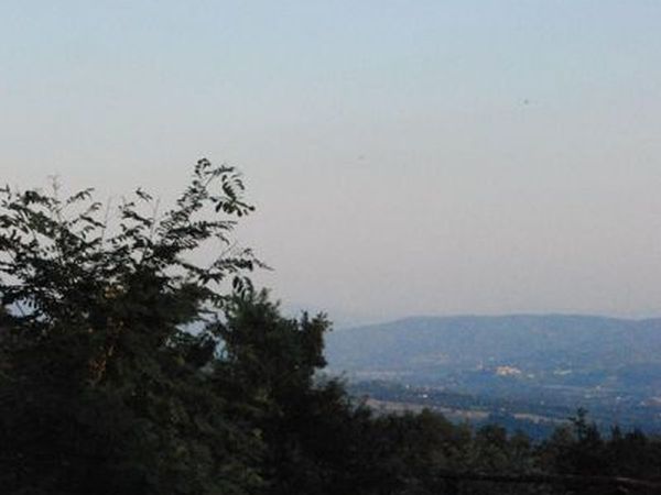 Camping Falterona - foto 8903.jpg