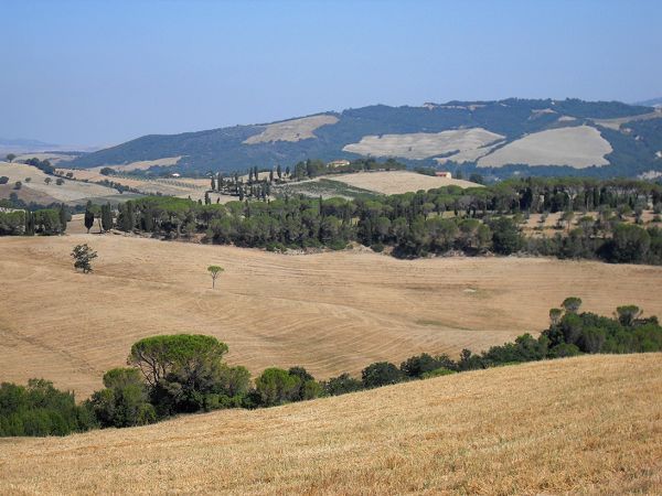 Agriturismo Podere Palazzone - foto 1676.jpg