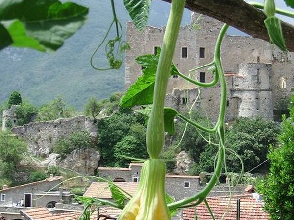 Agriturismo Antico Melo - foto 9099.jpg