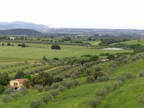 Podere San Rocco - foto 9295.jpg