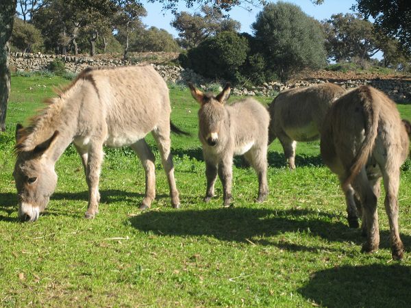 Casa al Centro - foto 9348.jpg