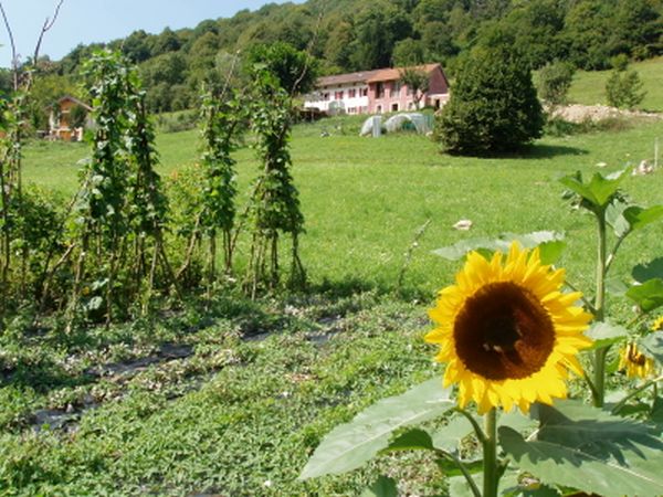 B&B I Boschi del castagno - foto 9717.jpg