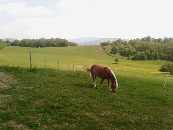 Azienda Agricola Monte Termine - foto 9779.jpg